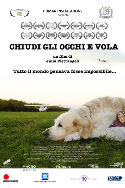 Póster de Close Your Eyes and Fly