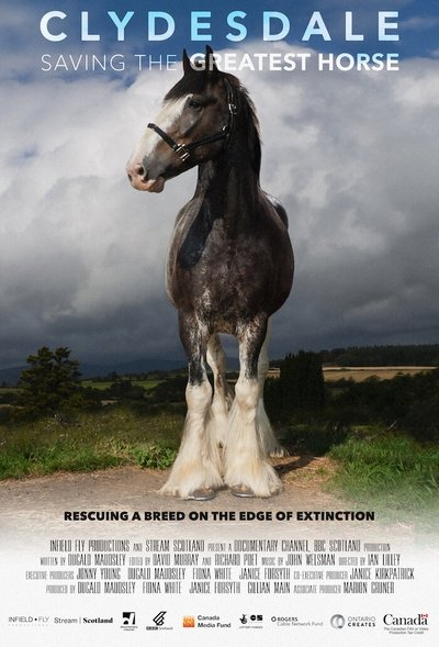 Póster de Clydesdale: Saving the Greatest Horse