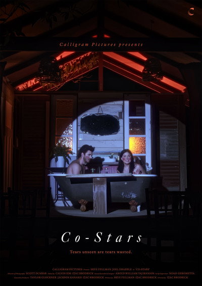 Póster de Co-Stars