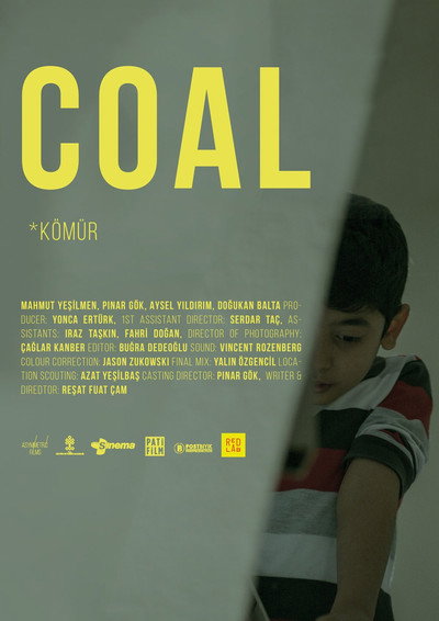 Póster de Coal