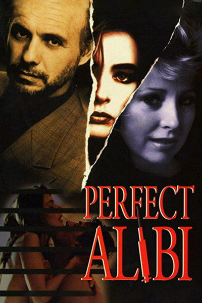 Póster de Coartada perfecta