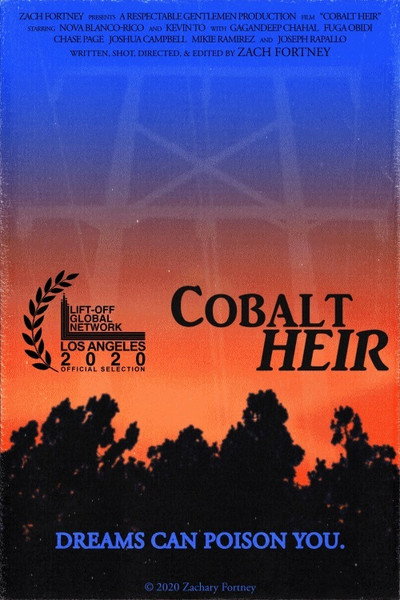 Póster de Cobalt Heir