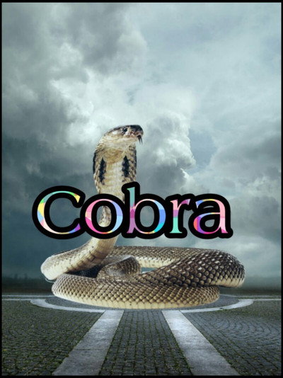 Póster de Cobra