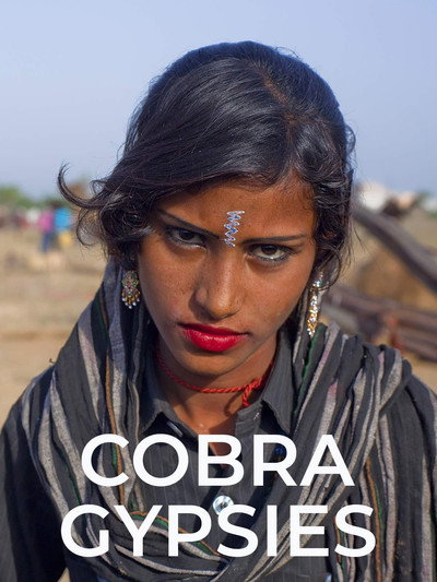 Póster de Cobra Gypsies