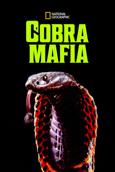 Póster de Cobra Mafia