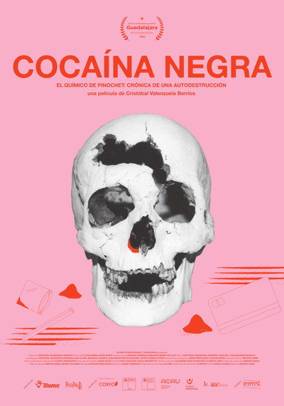 Póster de Cocaína Negra