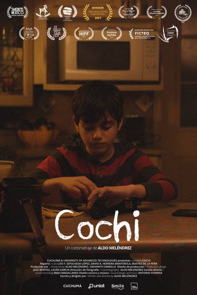 Póster de Cochi