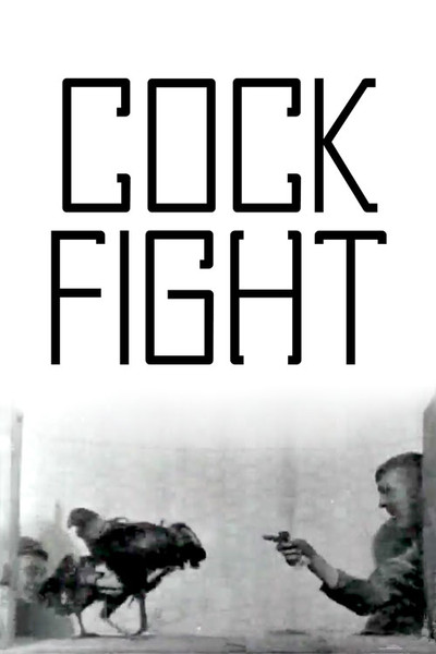 Póster de Cock Fight