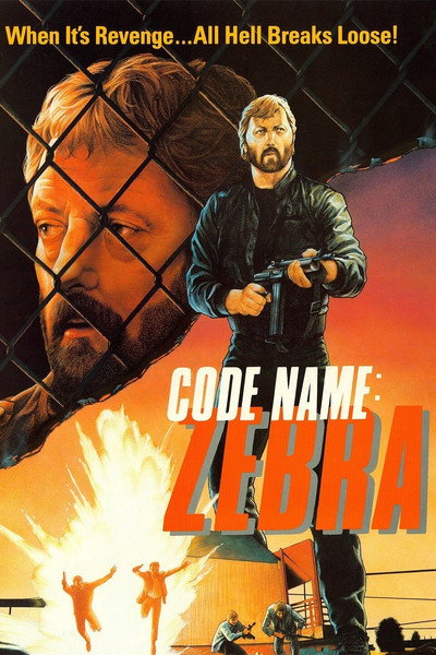Póster de Código Zebra