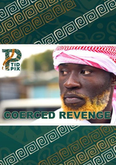 Póster de Coerced Revenge
