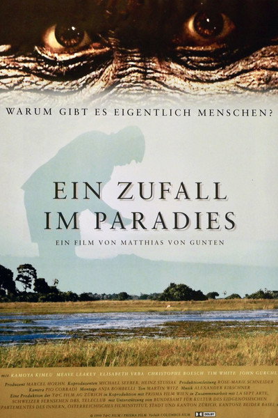 Póster de Coincidence in Paradise