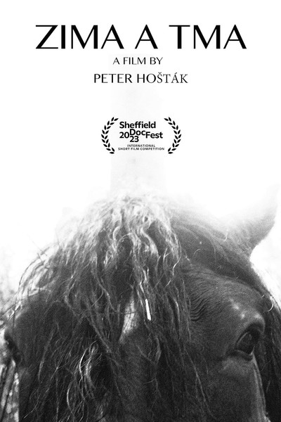 Póster de Cold and Dark