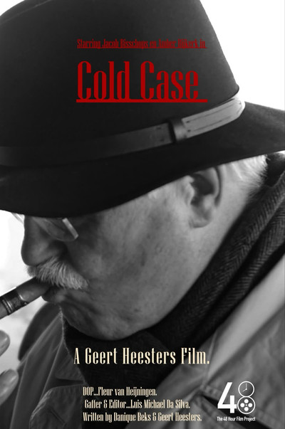 Póster de Cold Case