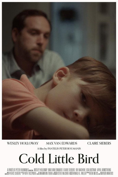 Póster de Cold Little Bird