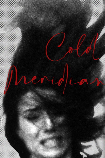 Póster de Cold Meridian