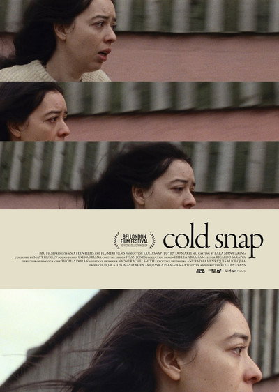 Póster de Cold Snap