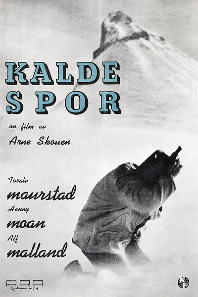 Póster de Cold Tracks