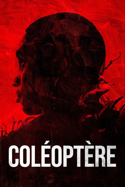 Póster de Coléoptère