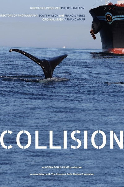 Póster de Collision