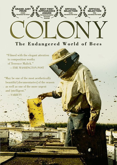 Póster de Colony