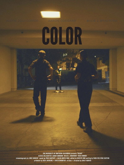 Póster de Color