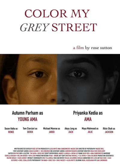 Póster de Color My Grey Street