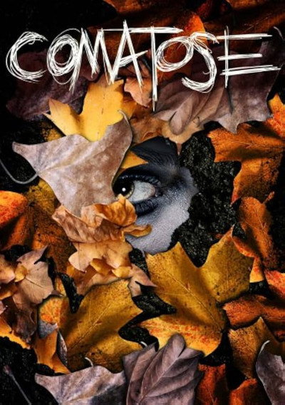 Póster de Comatose