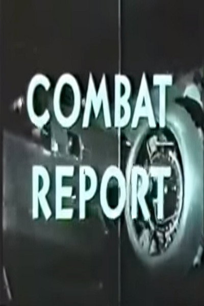 Póster de Combat Report