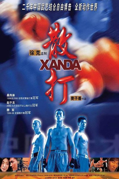 Póster de Combate final