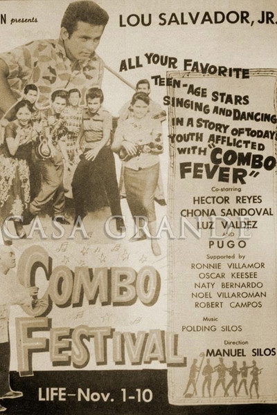 Póster de Combo Festival