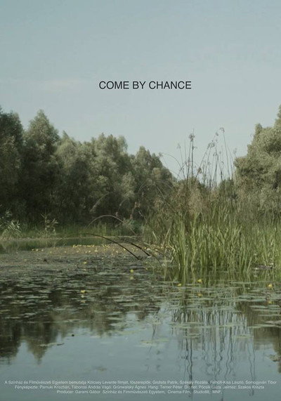 Póster de Come by Chance