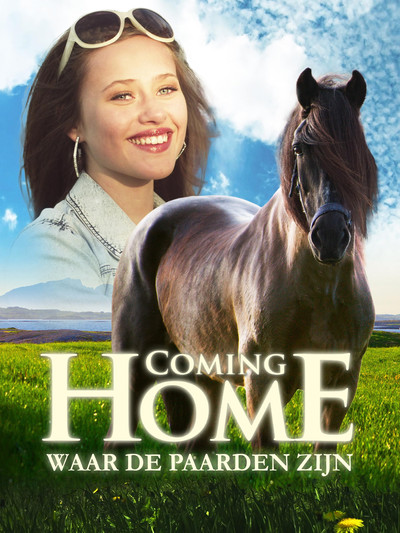 Póster de Come Home