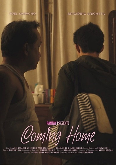 Póster de Coming Home