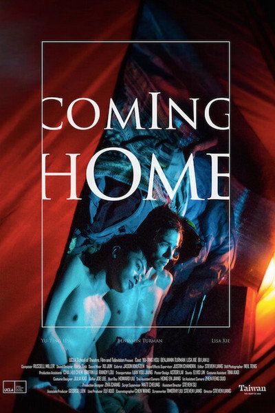 Póster de Coming Home