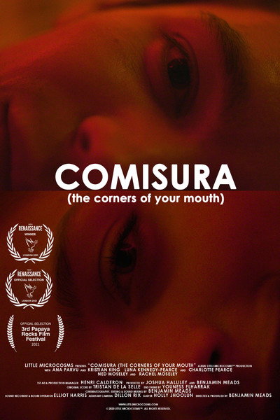 Póster de Comisura