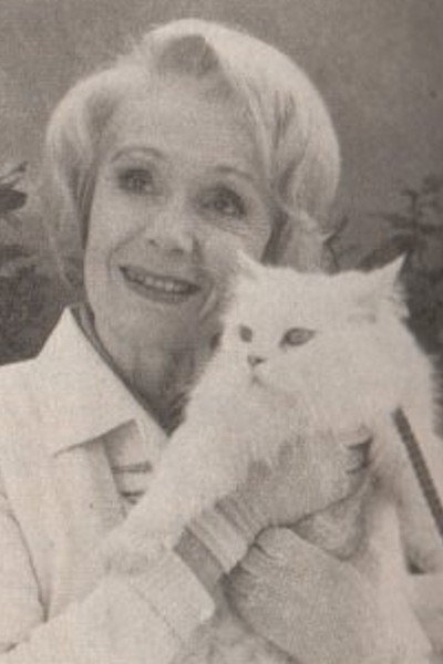 Póster de Comme chien et chat
