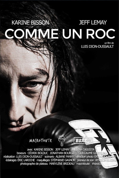 Póster de Comme un roc