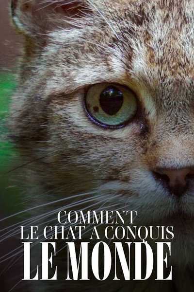 Póster de Comment le chat a conquis le monde