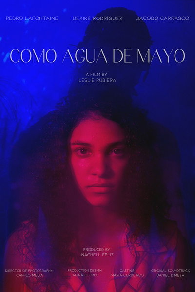Póster de Como Agua de Mayo