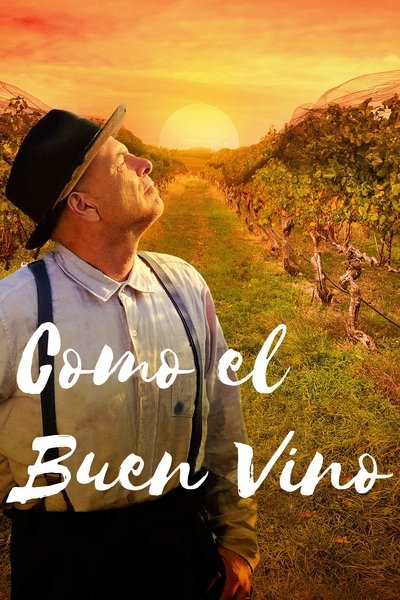 Póster de Como el buen vino