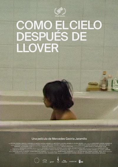 Póster de Como el cielo después de llover