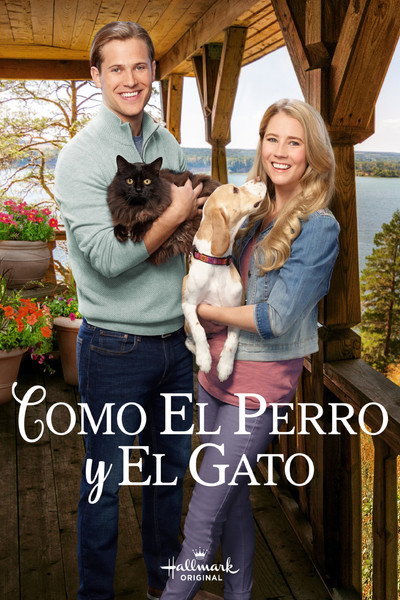 Póster de Como el perro y el gato