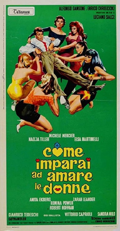 Póster de Cómo empecé a amar a las mujeres