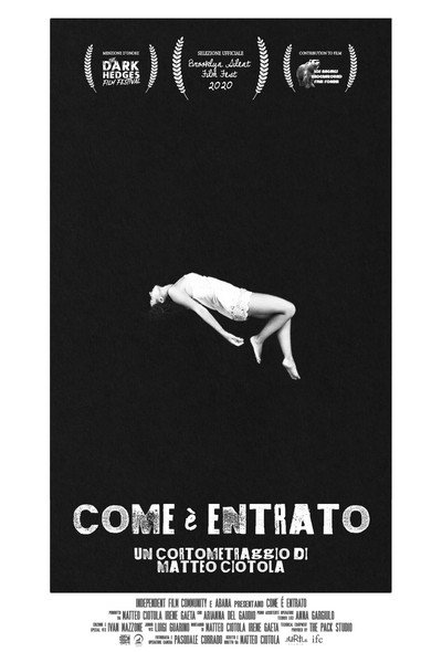 Póster de Como entró