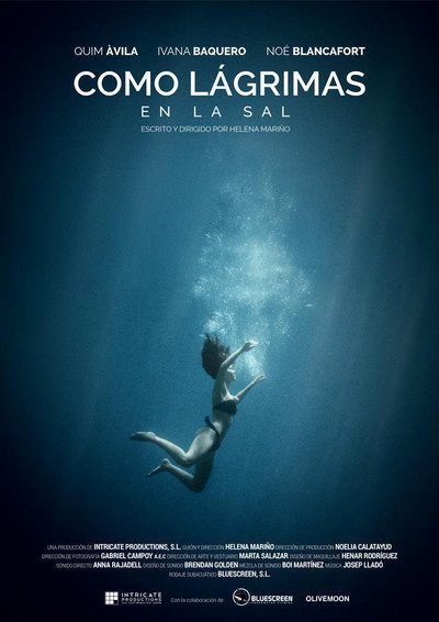 Póster de Como lágrimas en la sal