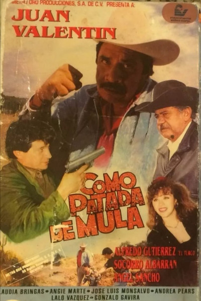 Póster de Como patada de mula