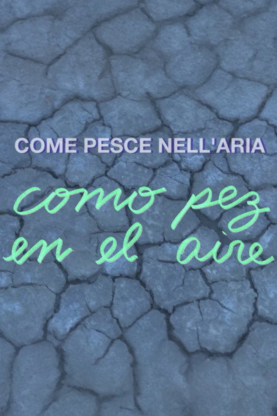 Póster de Como pez en el aire