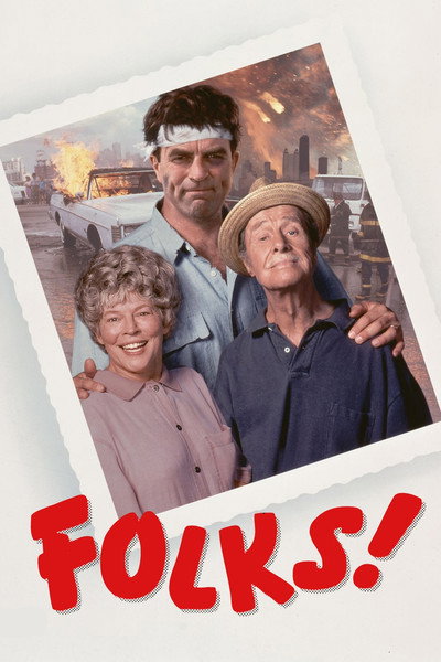 Póster de Cómo sobrevivir a la familia