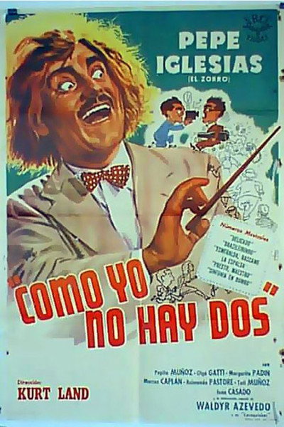 Póster de Como yo no hay dos
