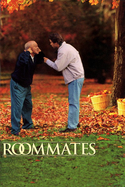 Póster de Compañeros de habitación